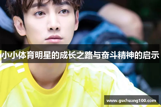 小小体育明星的成长之路与奋斗精神的启示