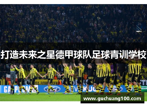 打造未来之星德甲球队足球青训学校