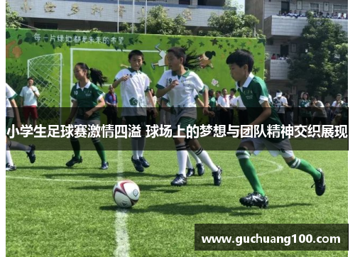 小学生足球赛激情四溢 球场上的梦想与团队精神交织展现