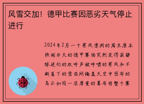 风雪交加！德甲比赛因恶劣天气停止进行